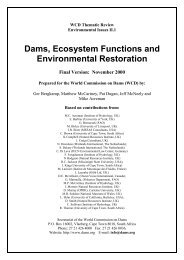 Dams, Ecosystem Functions and Environmental Restoration