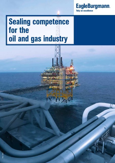 Sealing competence for the oil and gas industry - EagleBurgmann