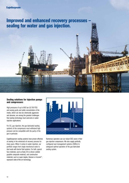 Sealing competence for the oil and gas industry - EagleBurgmann