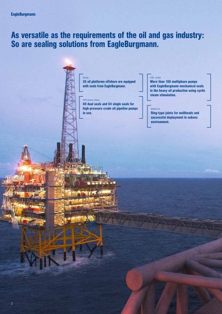 Sealing competence for the oil and gas industry - EagleBurgmann