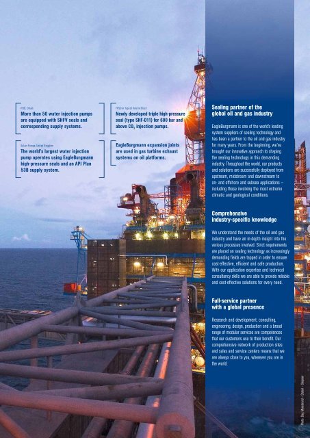 Sealing competence for the oil and gas industry - EagleBurgmann