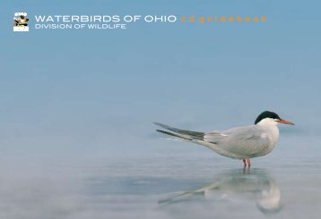 WATERBIRDS OF OHIO c d guidebook - Ohio Department of Natural ...