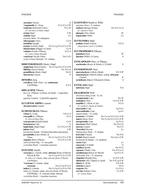 monocotyledonae - SABONET