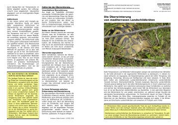 Die Überwinterung von mediterranen Landschildkröten (PDF) - Sigs