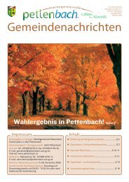 Gemeindenachrichten 08/2009 - Pettenbach