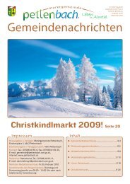GemNr 10-09-01.indd - Pettenbach