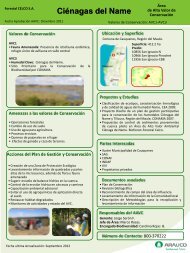 Fichas Resumen CELCO Descargar PDF - Arauco