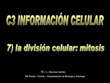 la división celular - IES Pando