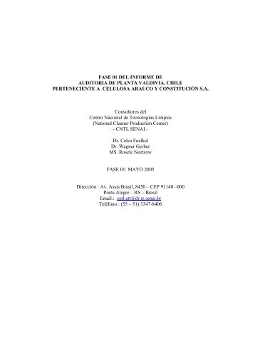 Auditoría de Planta Valdivia, Celulosa Arauco y Constitución - Sinia