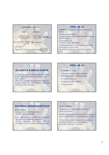 EMBRIOGÊNESE SOMÁTICA, SUSPENSÕES CELULARES E ...