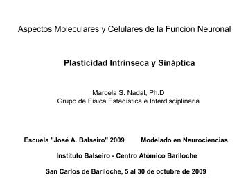 Plasticidad Intrínseca y Sináptica Aspectos Moleculares y Celulares ...