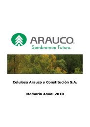 Memoria Arauco 2010