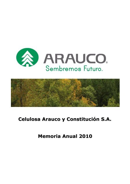 Memoria Arauco 2010