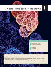 El metabolisme cel·lular i els enzims 1 - Ames