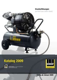 Katalog 2009 - Schneider-Airsystems