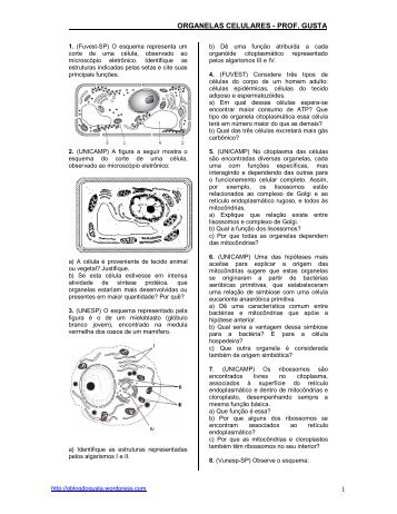 ORGANELAS CELULARES - PROF. GUSTA 1