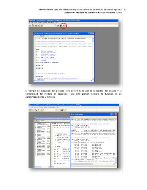 MÓDULO V Modelos de Equilibrio Parcial - Oficina de Tratados ...