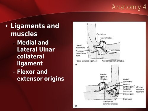 Distal Humeral Fractures - Dr. Kwee (Aug 22, 2006