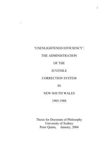 'UNENLIGHTENED EFFICIENCY': THE ADMINISTRATION OF THE ...