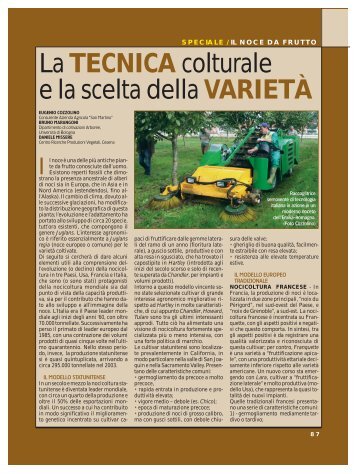 La TECNICA colturale e la scelta della VARIETÀ - Ermes Agricoltura