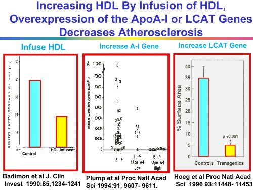 Treating Lipid Abnormalities Beyond LDL - Washington Hospital ...