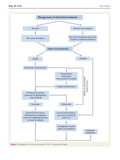 ESC Guidelines on the diagnosis and treatment of peripheral artery ...