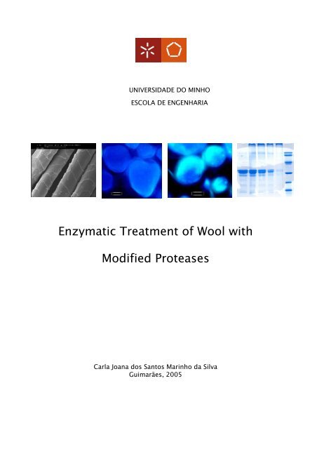 Enzymatic Treatment of Wool with Modified Proteases