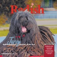 August 2010 Edition - Radish Magazine