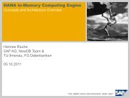 SAP In Memory Computing Engine (NewDB)