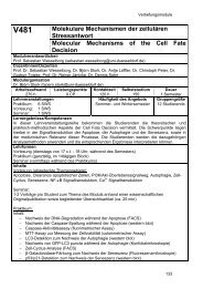 V481 Molekulare Mechanismen der zellulären ... - Biologie