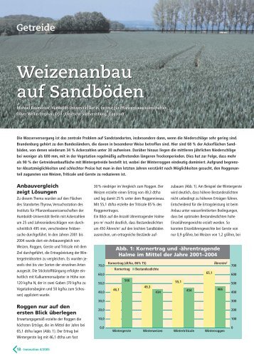 Weizenanbau auf Sandböden Weizenanbau auf Sandböden - DSV