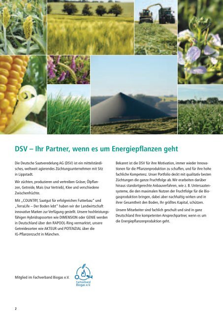 DSV Energiepflanzen - Die ganze Fruchtfolge nutzen 1,84