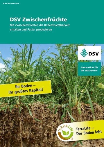 DSV Zwischenfrüchte - Mit Zwischenfrüchten die Bodenfruchtbarkeit ...