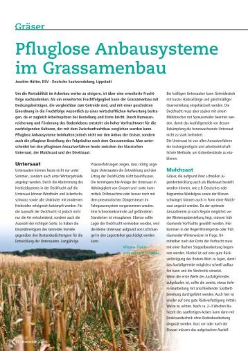 Gräser Pfluglose Anbausysteme im Grassamenbau - DSV