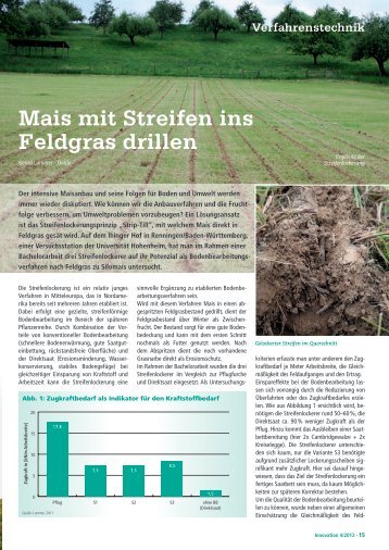 Mais mit Streifen ins Feldgras drillen - DSV