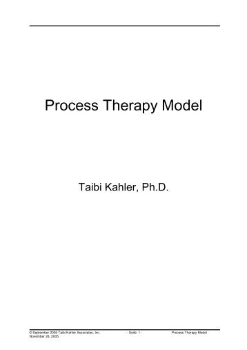 Process Therapy Model - bei Kahler Communication