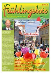 Fruhjahr Sommer 2013 Rhon Rennsteig Verlag 
