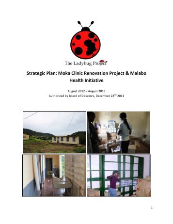 Strategic Plan: Moka Clinic Renovation Project & Malabo Health ...