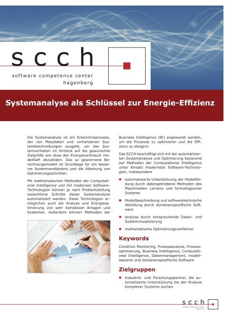 Systemanalyse als Schlüssel zur Energie-Effizienz - Software ...