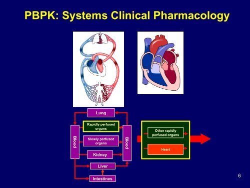 Experience In Using PBPK Models in Clinical Pharmacology Reviews