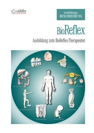 Ausbildung zum BioReflex-Therapeuten - LifeReflex