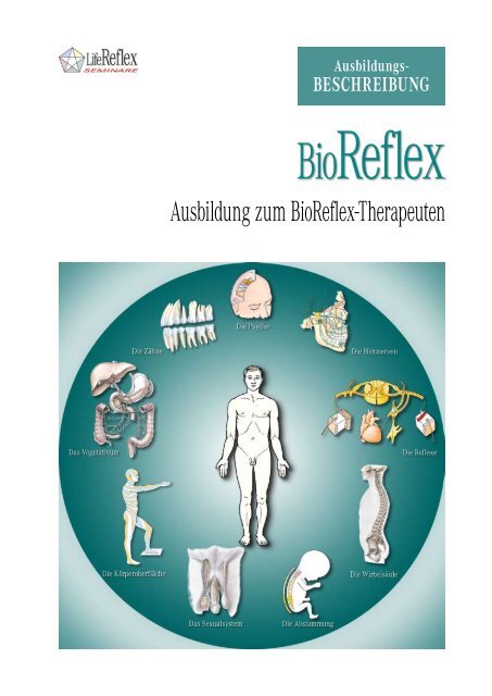 Ausbildung zum BioReflex-Therapeuten - LifeReflex