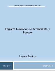 Lineamientos del Registro Nacional de Armamento y ... - SE SNSP