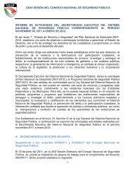 Informe Secretario Ejecutivo Sesión XXXII - Secretariado Ejecutivo