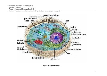 Akademia maturalna Collegium Novum Przedmiot: biologia Moduł 1 ...