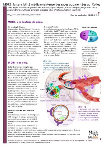 MDR1: la sensibilité médicamenteuse des races ... - Collie-online.com