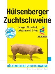 HÜLSENBERGER ZUCHTSCHWEINE - SCHAUMANN