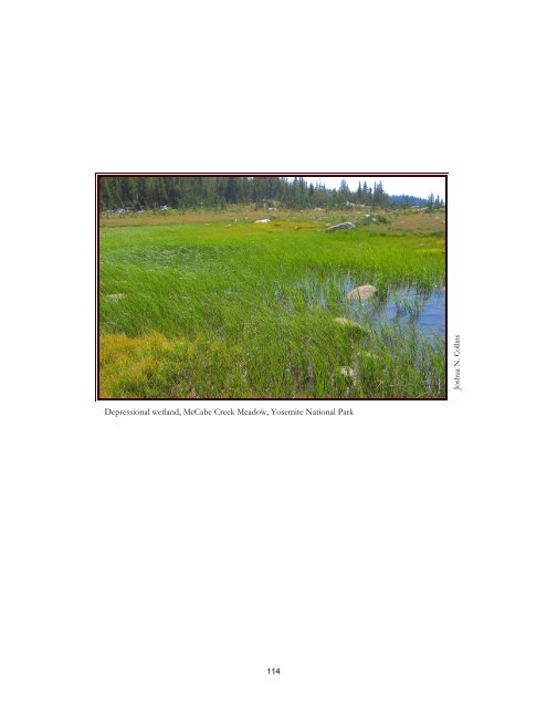 (CRAM) For Wetlands User's Manual Version 5.0.2
