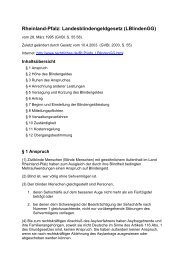 PDF (34 KB) - Deutscher Blinden