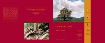 CamminAlberi - Comune di Sarnonico